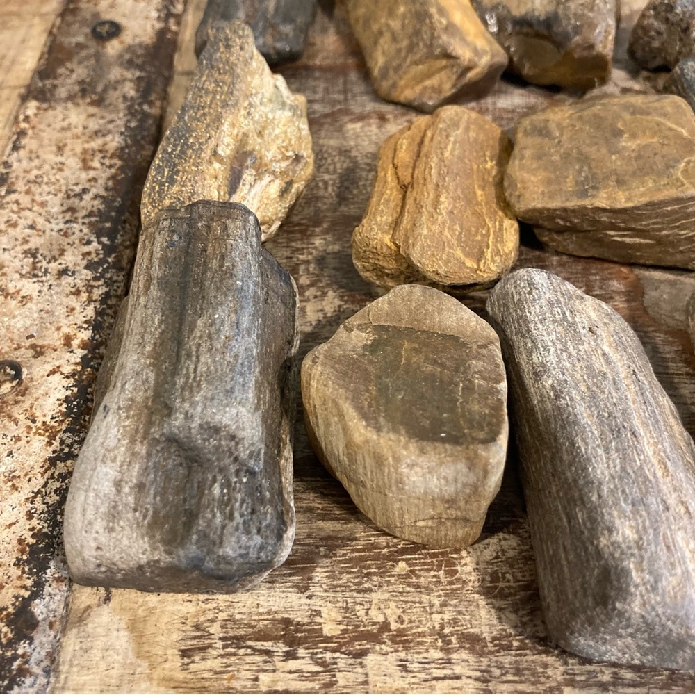 17pcs Petrified Wood 🪵 Rock Collection - Picture 11 of 17